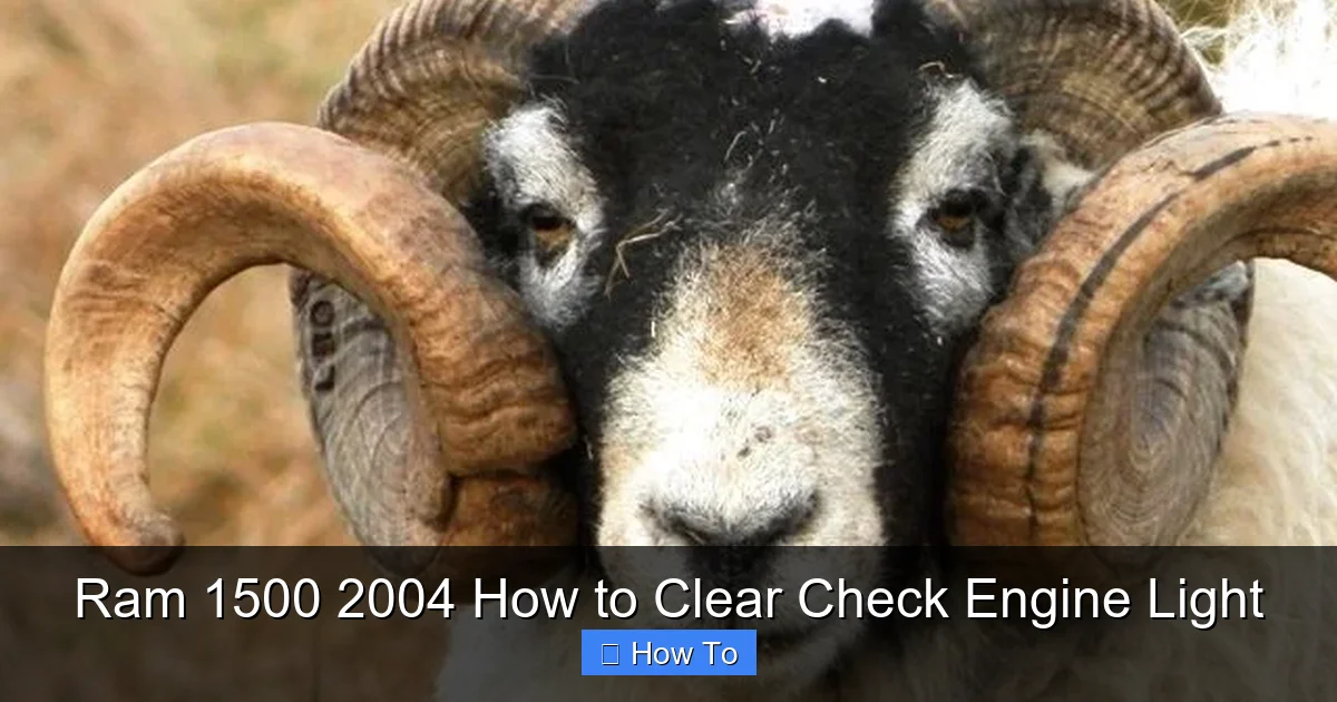 Ram 1500 2004 How to Clear Check Engine Light