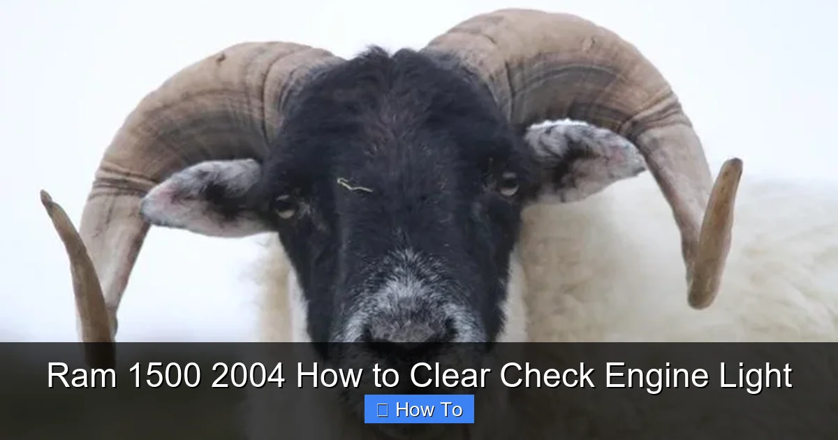Ram 1500 2004 How to Clear Check Engine Light