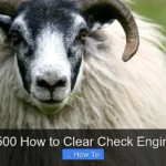 Ram 1500 How to Clear Check Engine Light