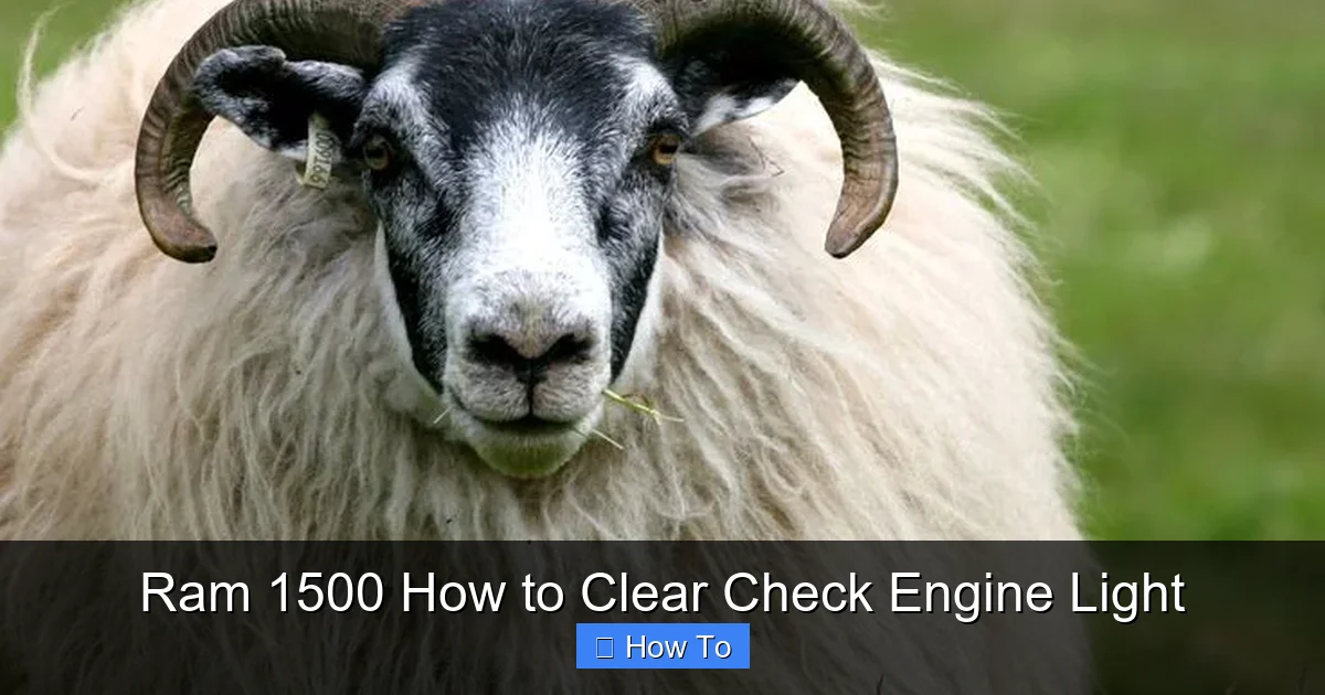 Ram 1500 How to Clear Check Engine Light