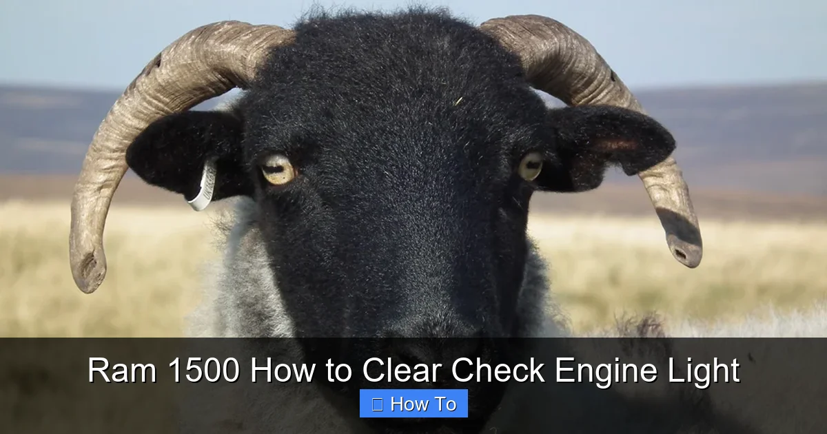 Ram 1500 How to Clear Check Engine Light