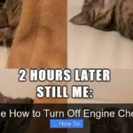 Satur Vue How to Turn Off Engine Check Light