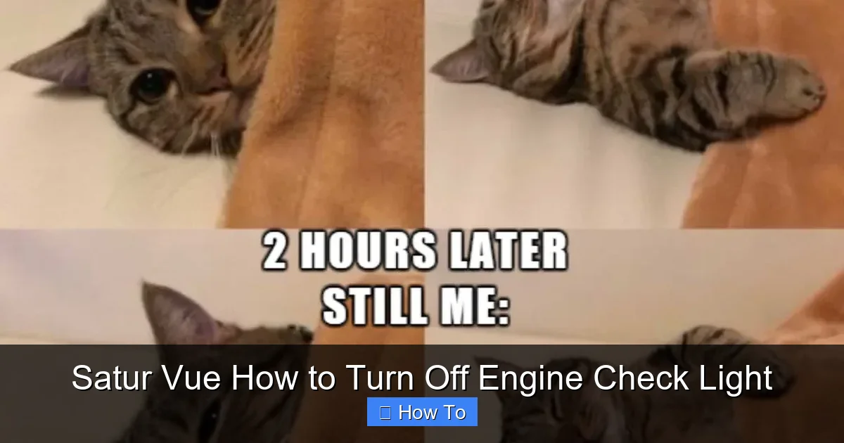 Satur Vue How to Turn Off Engine Check Light