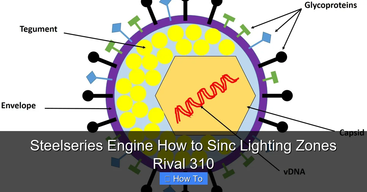 Steelseries Engine How to Sinc Lighting Zones Rival 310