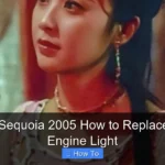 Toyota Sequoia 2005 How to Replace Check Engine Light