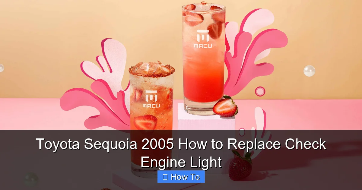 Toyota Sequoia 2005 How to Replace Check Engine Light