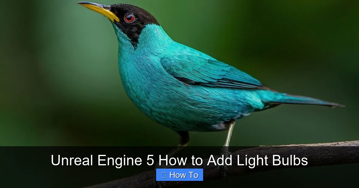 Unreal Engine 5 How to Add Light Bulbs