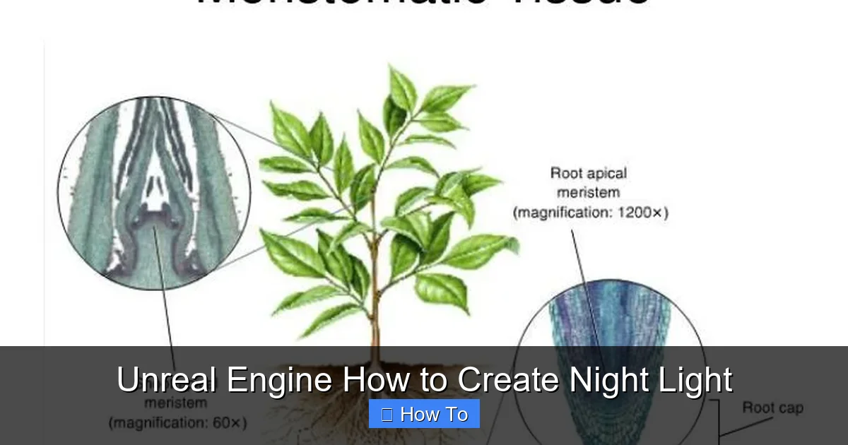 Unreal Engine How to Create Night Light