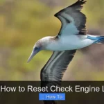 Volt How to Reset Check Engine Light