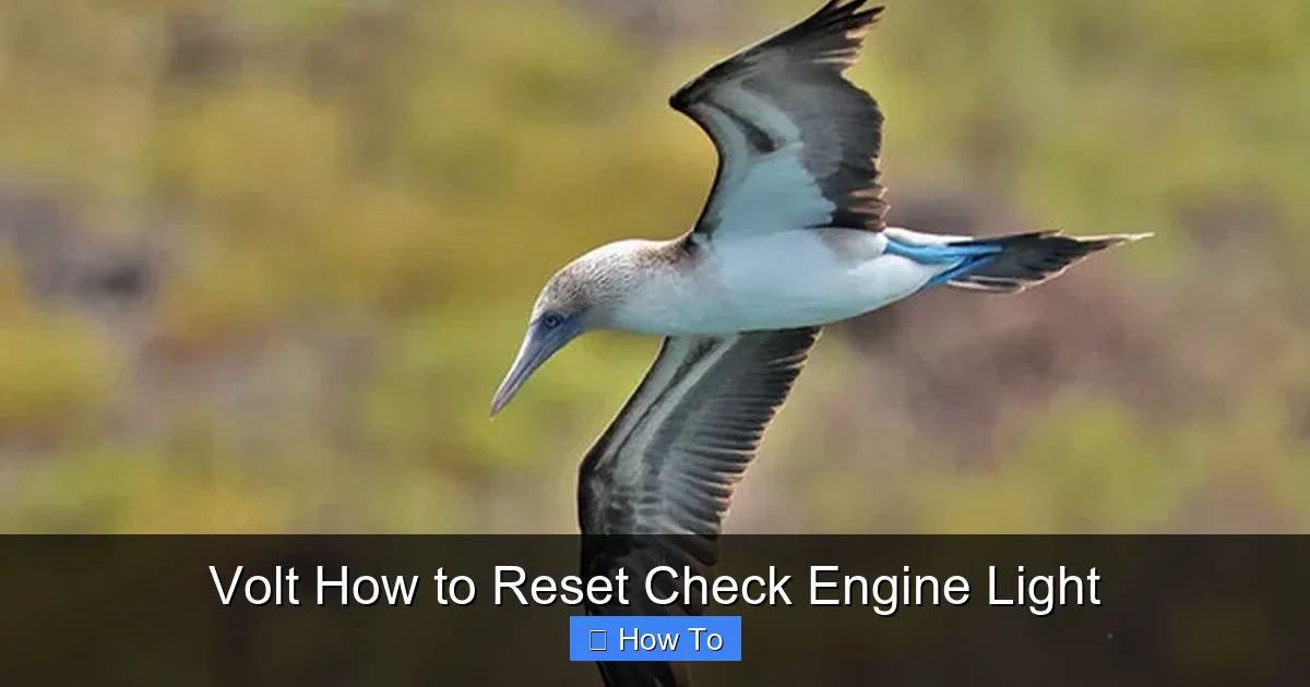 Volt How to Reset Check Engine Light